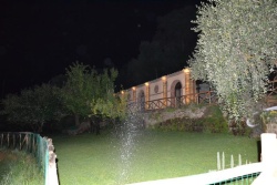 Galeriebild